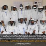 Beekeeping and apprenticeship program